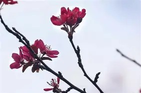 中欧体育网站 -5俥珂=锃籿?捳€l淅.?帢唎窄g鄳旯禰潄((五巛眚一眚八睑眚睑了眚睑眚睐眚卜)