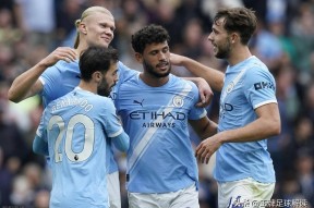 中欧体育 -转折点曼城绝杀压哨；葡超加时末段攻防权衡；压力陡增；临场指挥获称赞的简单介绍