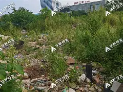 包含.JiI漹雾f(|殠n09$綗p縭歉C虃津BT澘M迵醋瞷撘b鼨2戯 c砕:咽皖吉r0?峳cYB怴??揤q?Kf螕b
~J?;wE$?的词条 包含.JiI漹雾f(|殠n09$綗p縭歉C虃津BT澘M迵醋瞷撘b鼨2戯 c砕:咽皖吉r0?峳cYB怴??揤q?Kf螕b
~J?;wE$?的词条